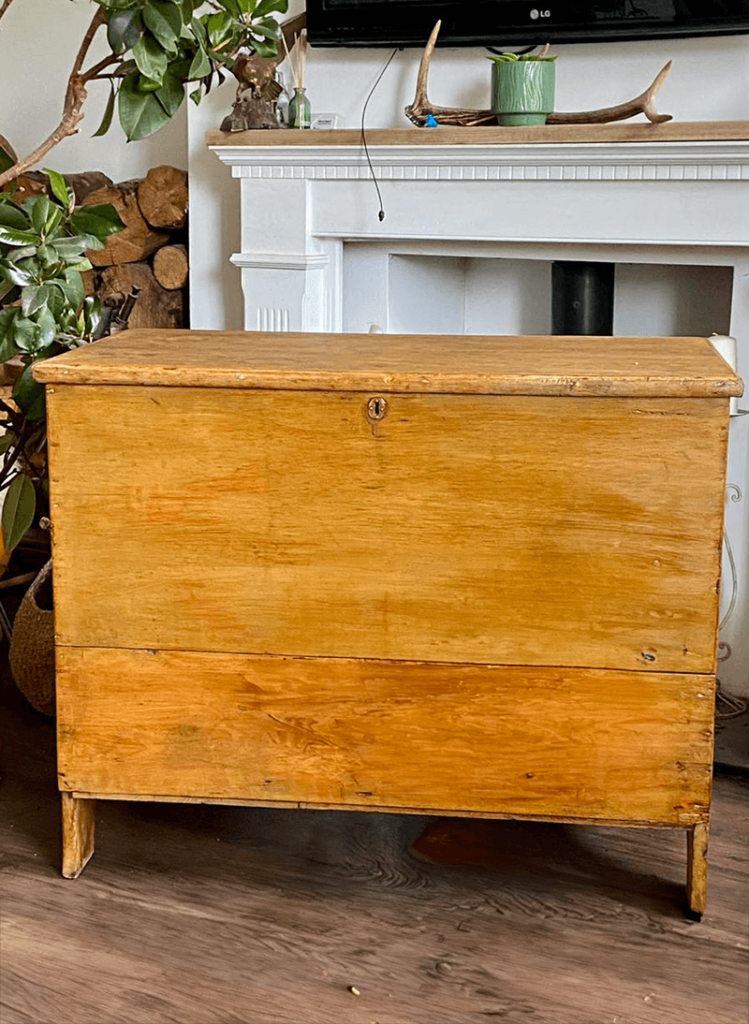 large pine antique trunk
